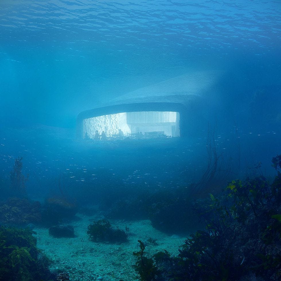 Underwater, Water, Blue, Marine biology, Sky, Reef, Sea, Ocean, Vehicle, Landscape, 