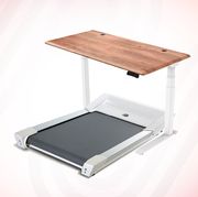 uplift treadmill desk
