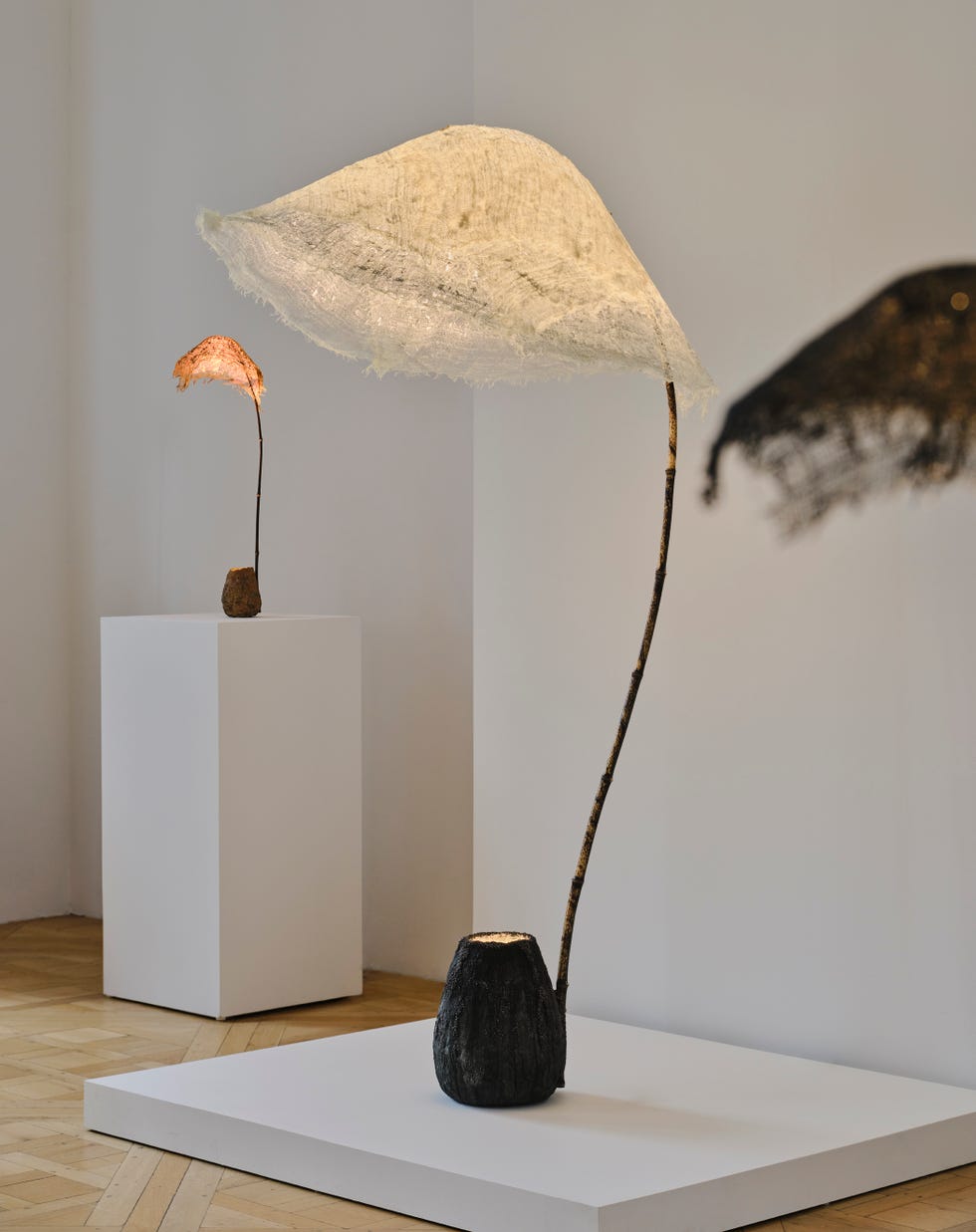aki+arnaud ﻿cooren lamp