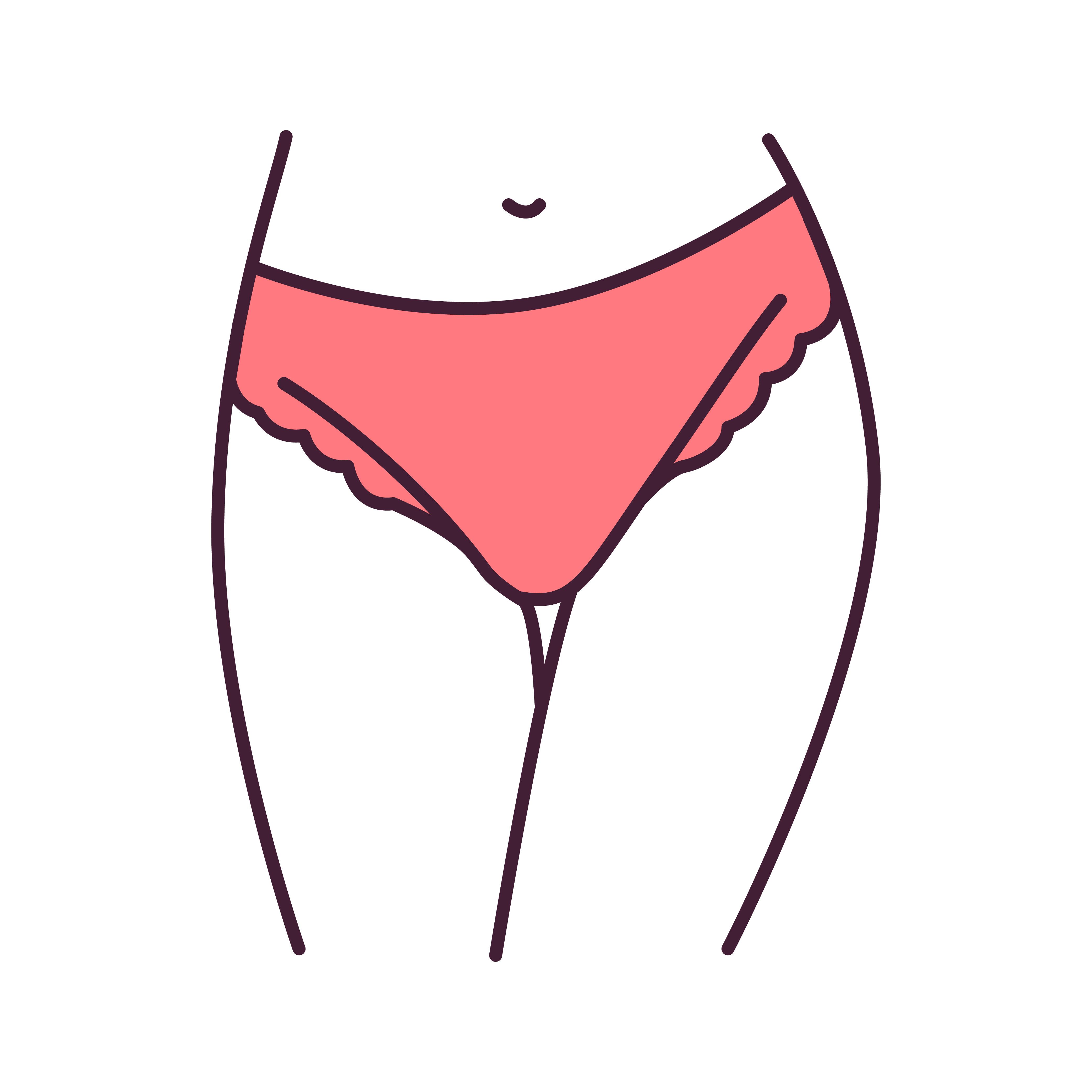 underpants slip lingerie color line icon a type of panties with sides that extend lower down the hips pictogram for web page, mobile app, promo ui ux gui design element editable stroke