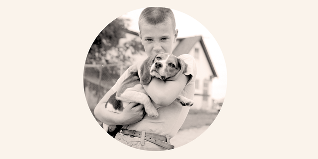 Photograph, Canidae, Dog, Puppy love, Puppy, Black-and-white, Photography, Sporting Group, Stock photography, Carnivore, 