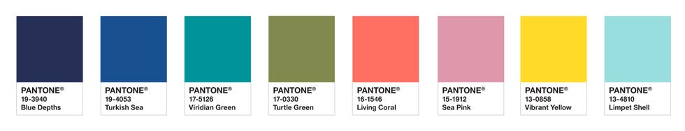 Pantone Color of the Year 2019 is Living Coral