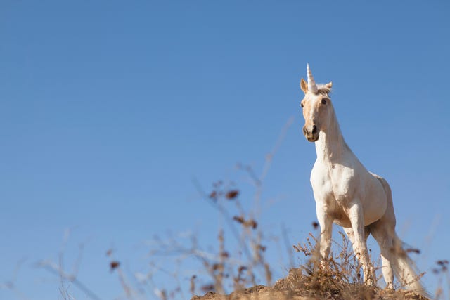 Unicorn on hilltop