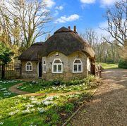 thatched cottage for sale on the isle of wight