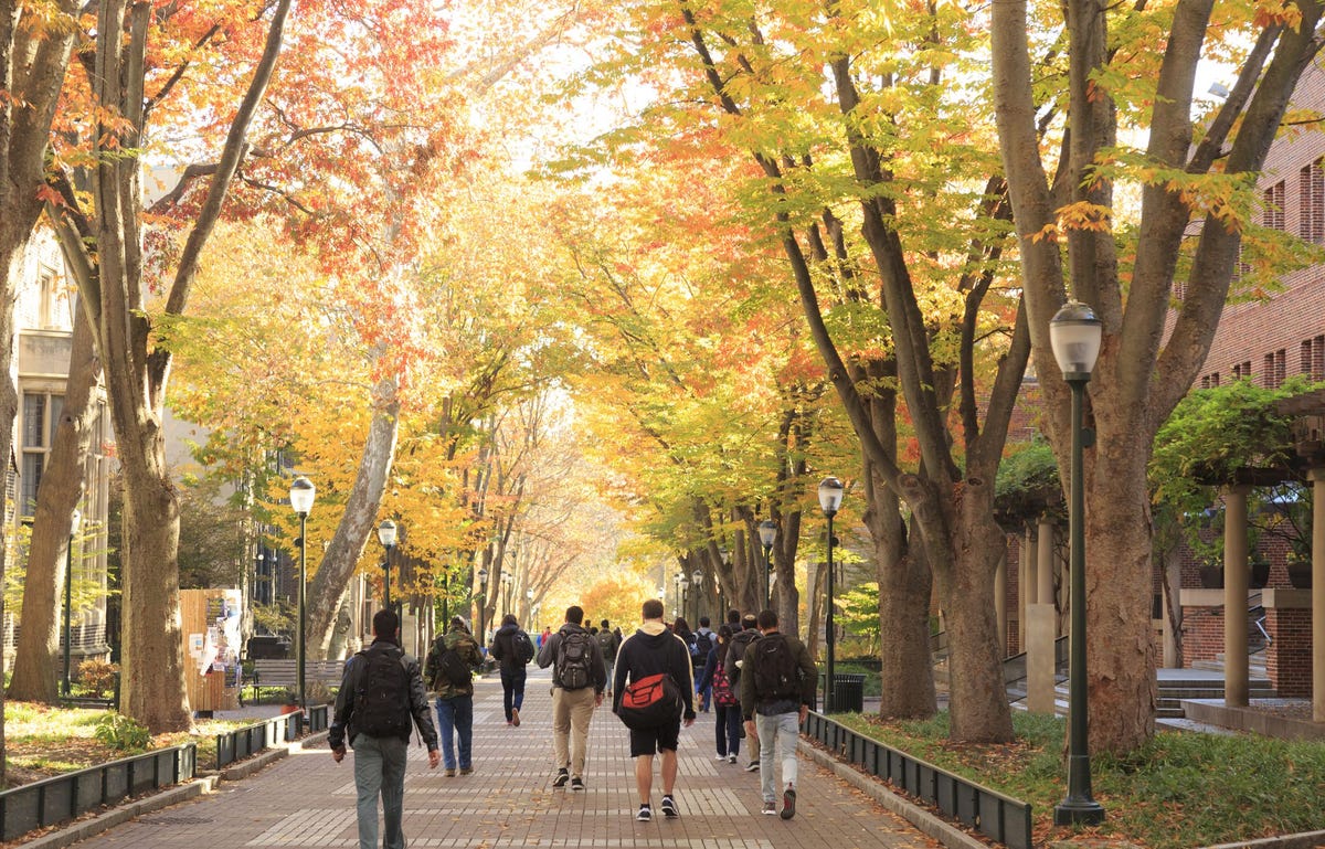 QUIZ: What Type of College is the Best Fit for Me? - College Quiz 2021