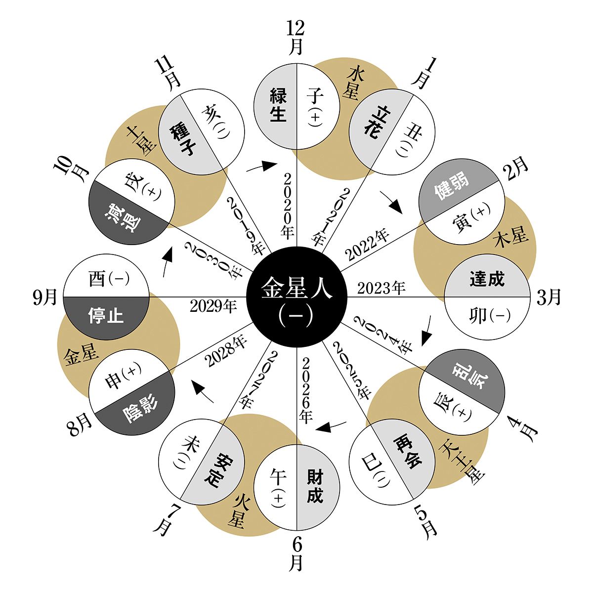 金星人の霊合星人｜細木かおりさんが六星占術で占う2024年上半期の運命