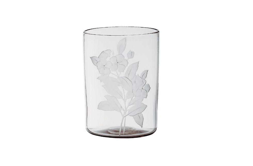 Highball glass, Leaf, Drinkware, Tumbler, Glass, Pint glass, Tree, Tableware, Plant, Cylinder, 