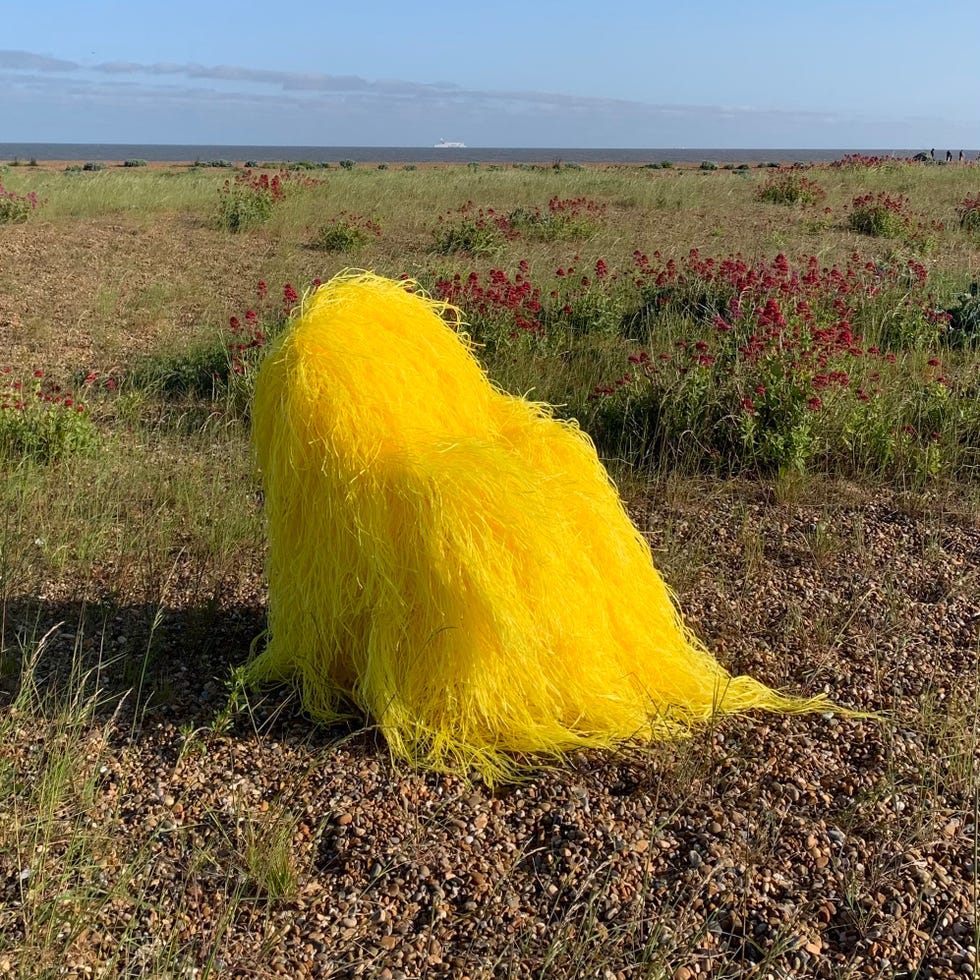 yellow shag char by darcey fleming, sarabande