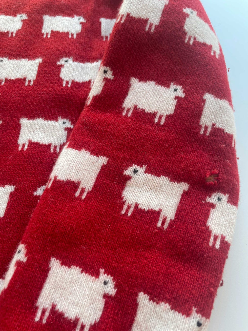 clothes moths destroyed jumper