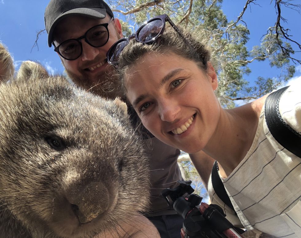 Marsupial, Selfie, Wombat, Snout, wombat, Photography, Wildlife biologist, Koala, Wildlife, Groundhog day, 