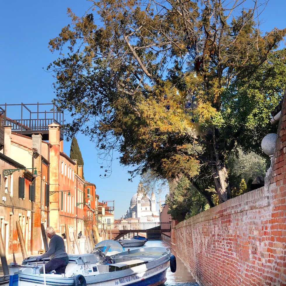 Venezia Giudecca Hundertwasser giardini