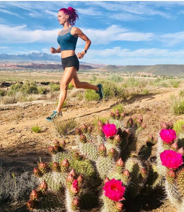 Pink, Cactus, Plant, Wilderness, Flower, Recreation, Landscape, Ecoregion, Jumping Cholla, Plant community, 