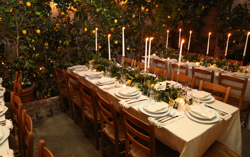 lemon trees in decor