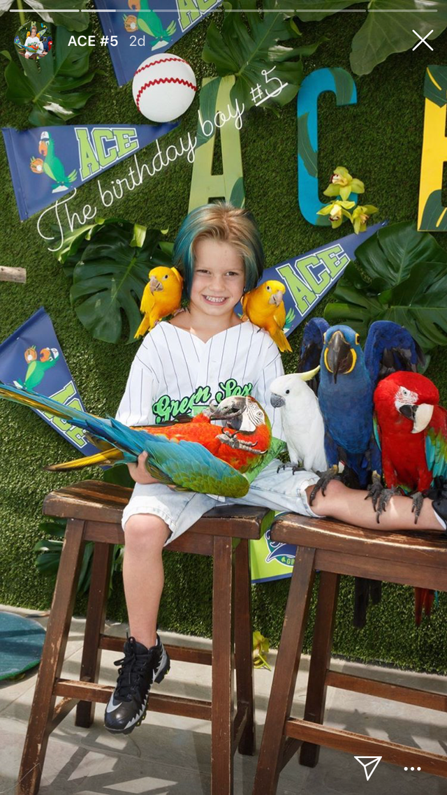 Fun, Summer, Tree, Leisure, Vacation, Sitting, Child, Table, World, Plant, 