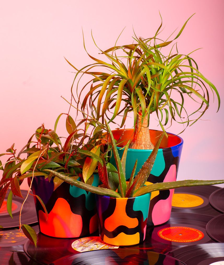 black ceramic pots painted with abstract shapes and bright colors