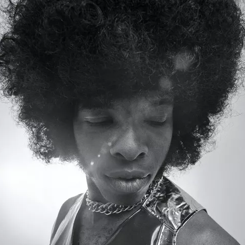 a person with a large curly hairstyle wearing a metallic outfit and a chain necklace a person with a large curly hairstyle wearing a metallic outfit and a chain necklace