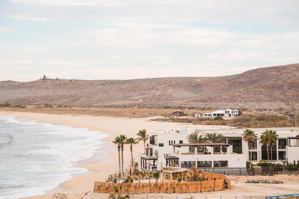 a beach with a building and trees