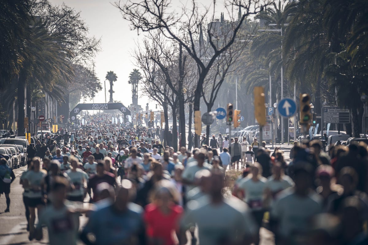 preview for La camiseta de Brooks de la Mitja Marató de Barcelona 2024