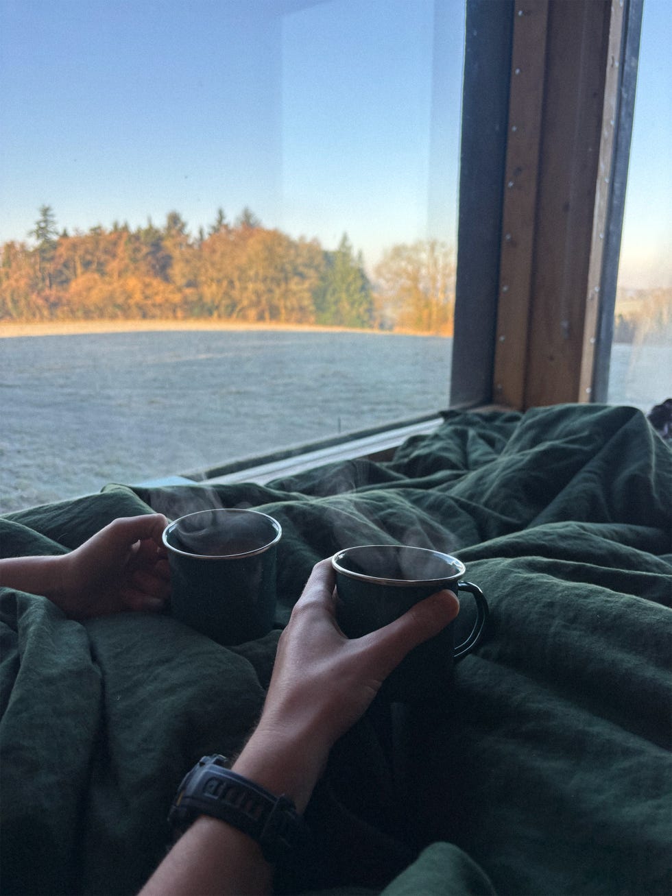two hands holding mugs of steaming beverage while wrapped in a green blanket next to a window with a nature view