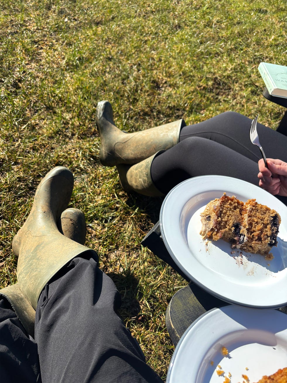 two pairs of legs wearing trousers and wellington boots, with two plates of cake perched beside them