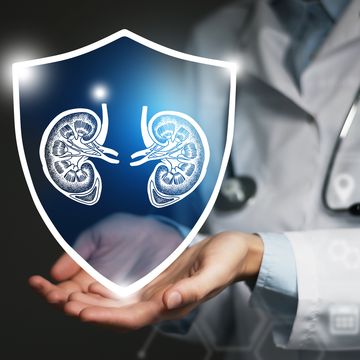 unrecognizable female doctor holding shield and graphic virtual visualization of kidneys organ in hands