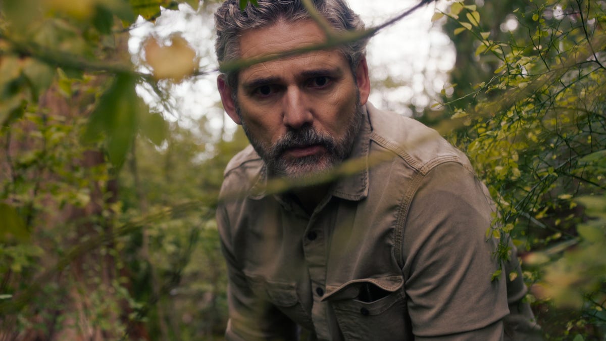 Untamed için ön izleme – resmi fragman (Netflix)