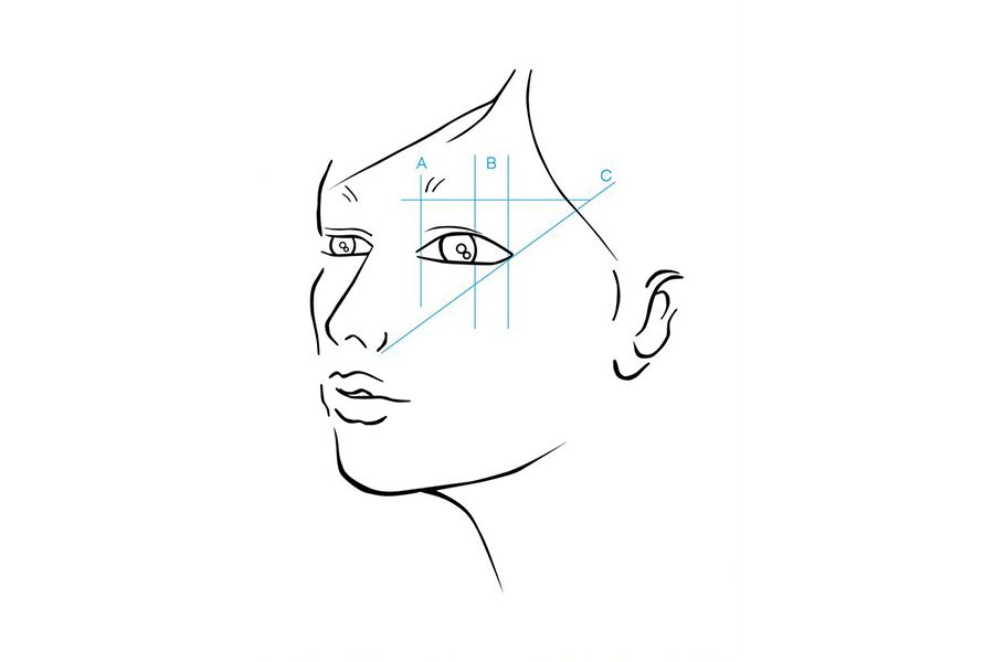 Face, Line art, White, Nose, Head, Cheek, Eyebrow, Forehead, Line, Eye, 