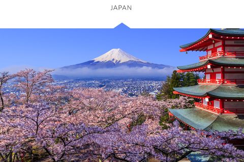 Nature, Cherry blossom, Flower, Blossom, Sky, Spring, Mountain, Plant, Tourism, Japanese architecture, 