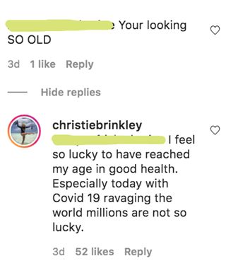 christie brinkley clapback instagram