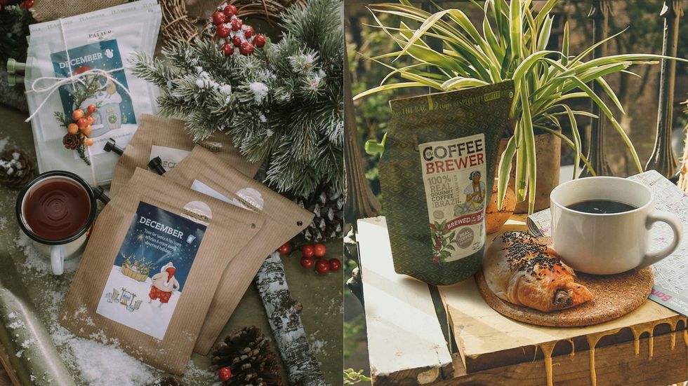 Flowerpot, Tree, Pine, Christmas stocking, Plant, Houseplant, Branch, Pine family, Table, Twig, 