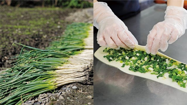 Welsh onion, Food, Vegetable, Scallion, Plant, Leaf vegetable, Tatsoi, Herb, Garlic chives, Produce, 