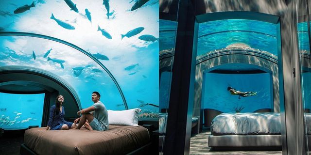 我要當一天的美人魚！馬爾地夫第一間「海底飯店」The Muraka，可以直接在房間外浮潛！