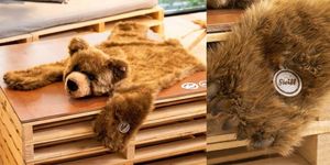 【ELLE 怪奇物語】潮流教父藤原浩把 Steiff 泰迪熊做成「熊皮地毯」... 這個設計太狠心了！
