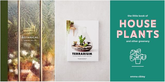 Книга plants. House Plants обложка книги. Умные растения книга. Террариум книга. Книги про растения дизайн.