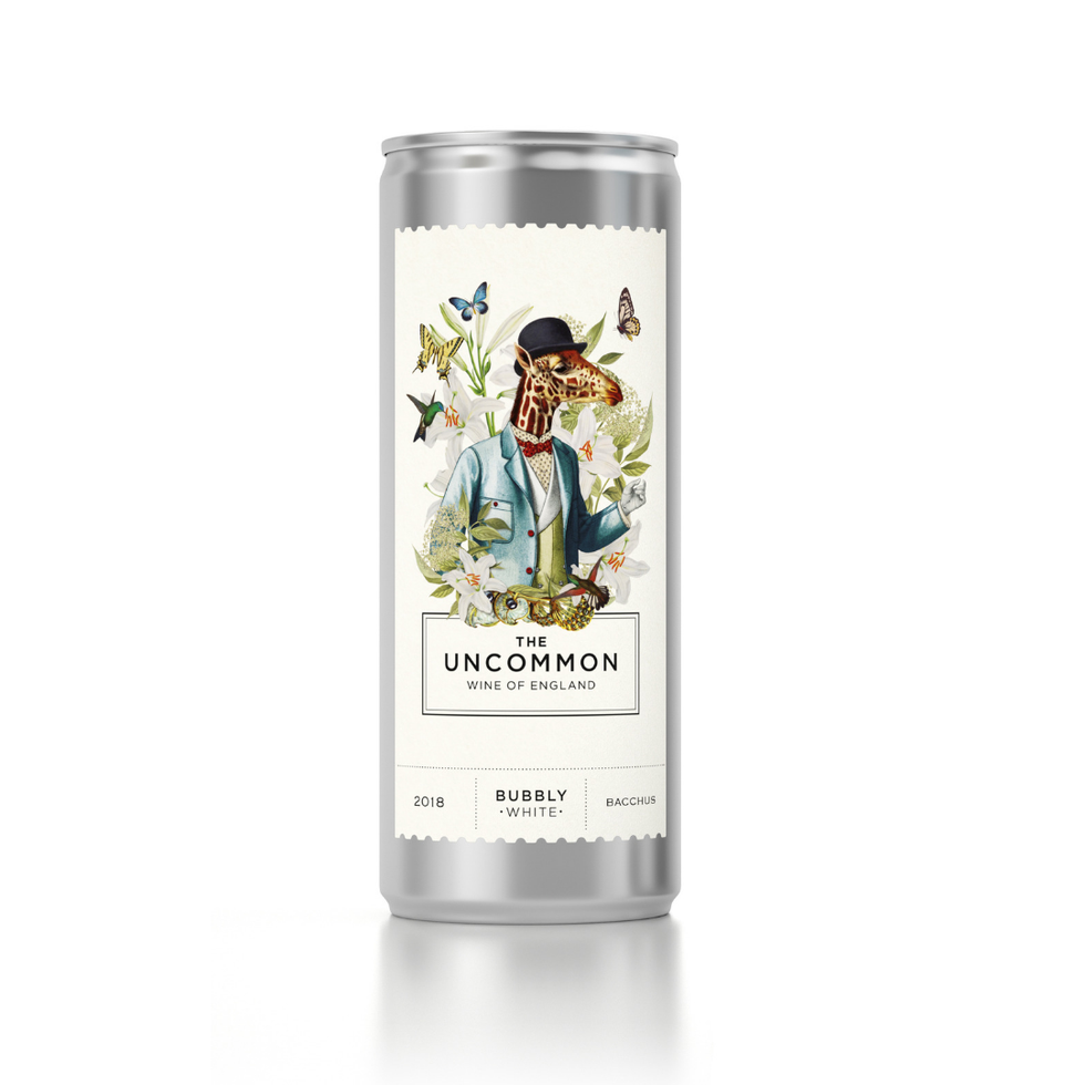 Drink, Beverage can, 