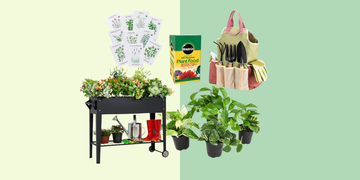 amazon prime day gardening deals