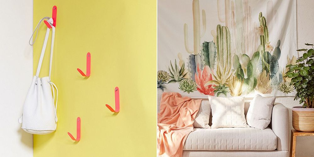 Cactus, Botany, Room, Plant, Flower, Saguaro, Succulent plant, Still life photography, Wallpaper, Interior design, 