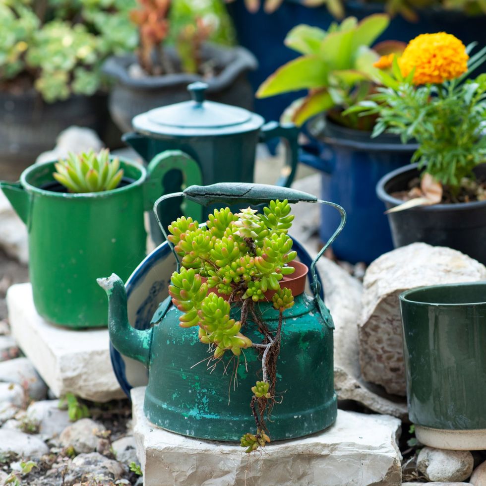 upcycling pots in garden