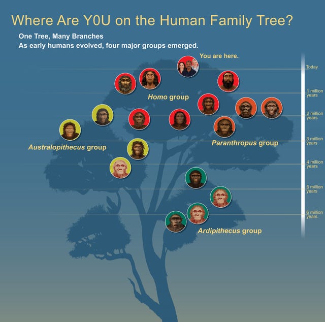 Homo Floresiensis: Why No Hobbits Still Live on Flores Island
