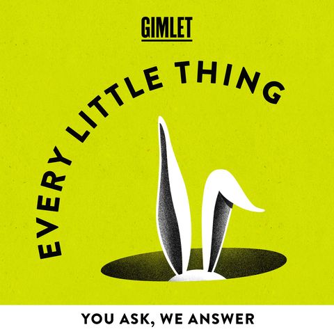 every little thing podcast