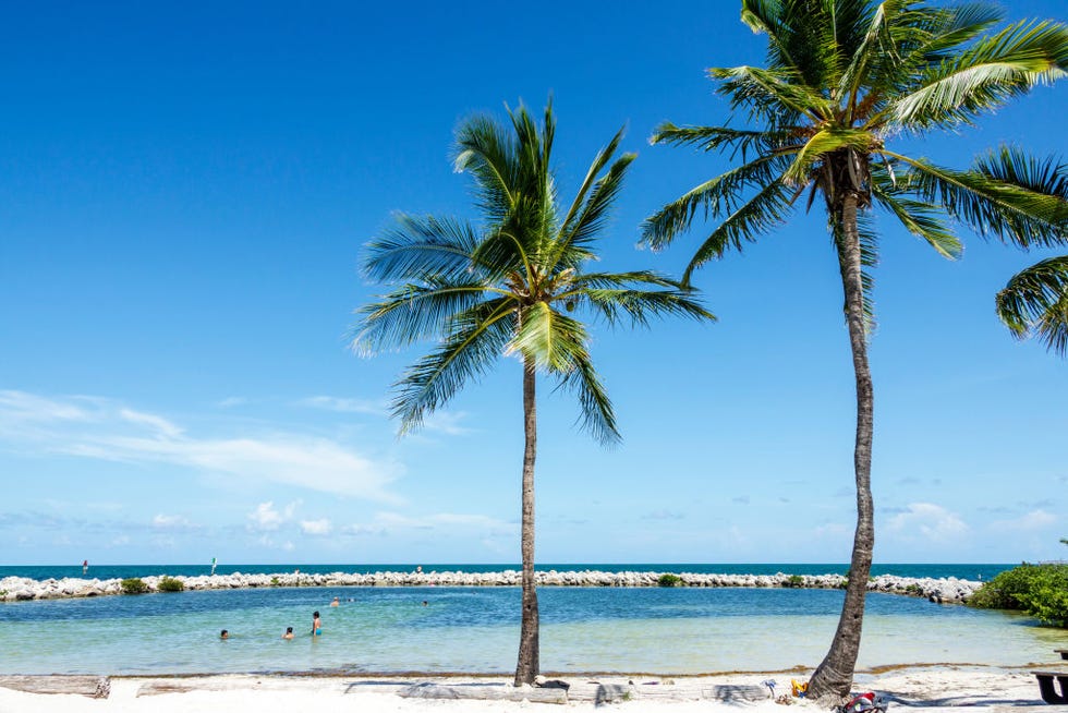 upper florida keys key largo harry harris beach park
