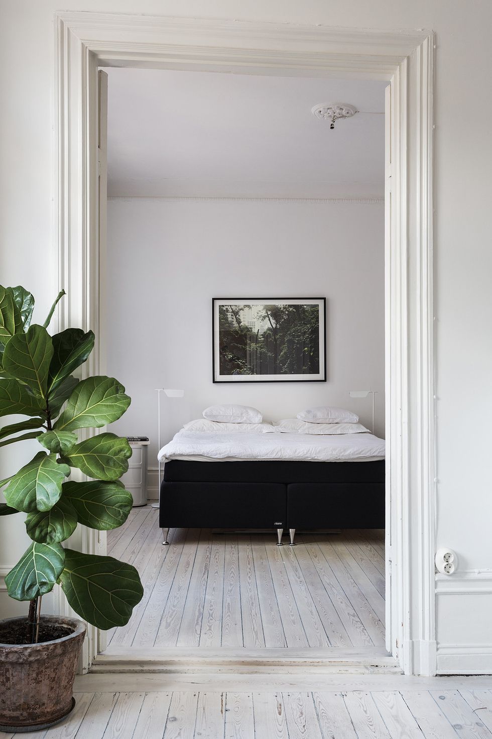 minimalist bedroom plant ideas