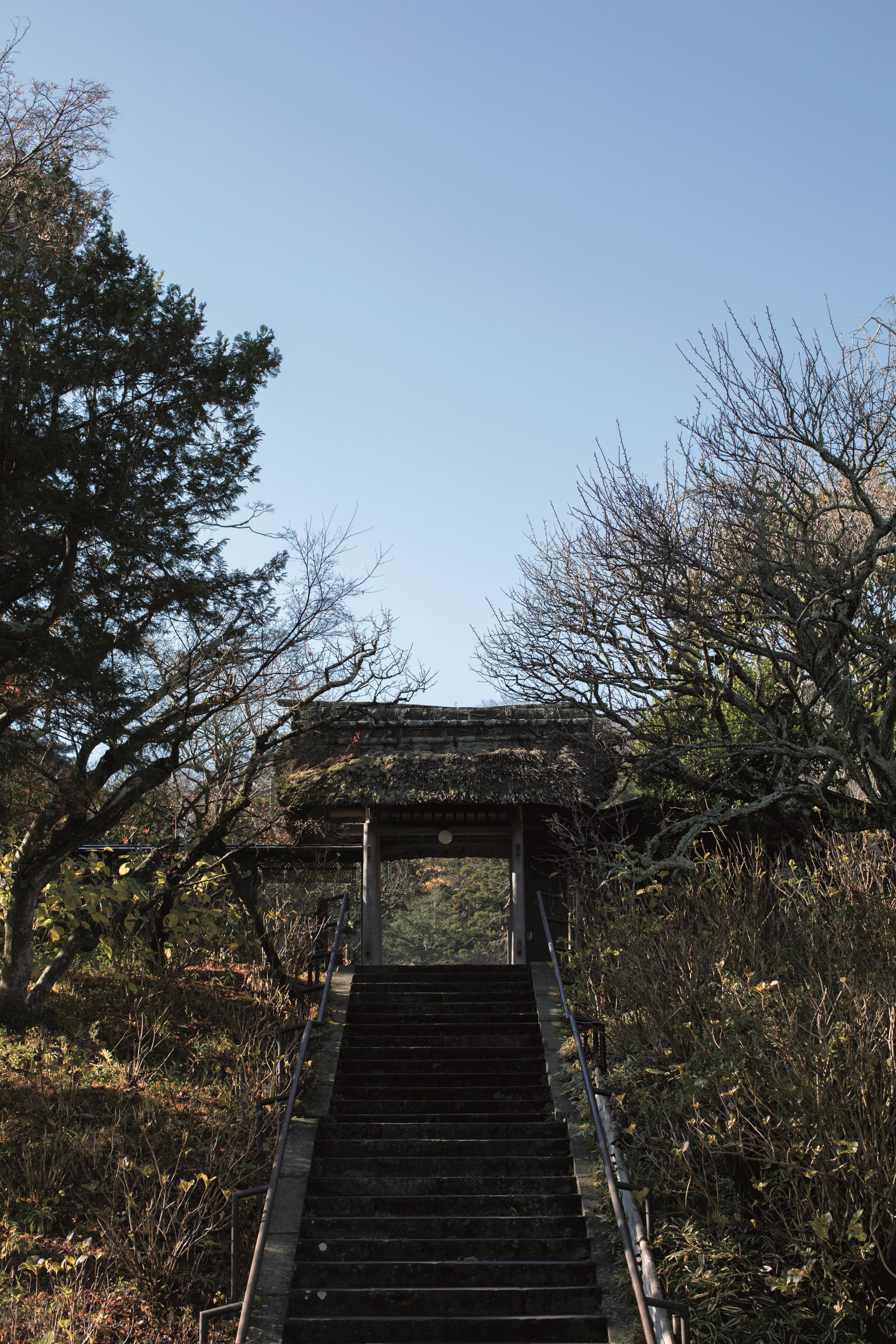 江戸庶民の染織 | 浦野理一 | nostos books ノストスブックス
