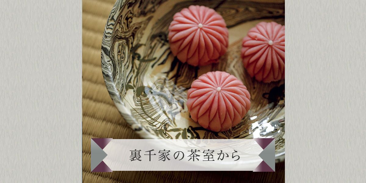茶道の着物レッスン｜初釜・月釜・テーマ茶会・稽古