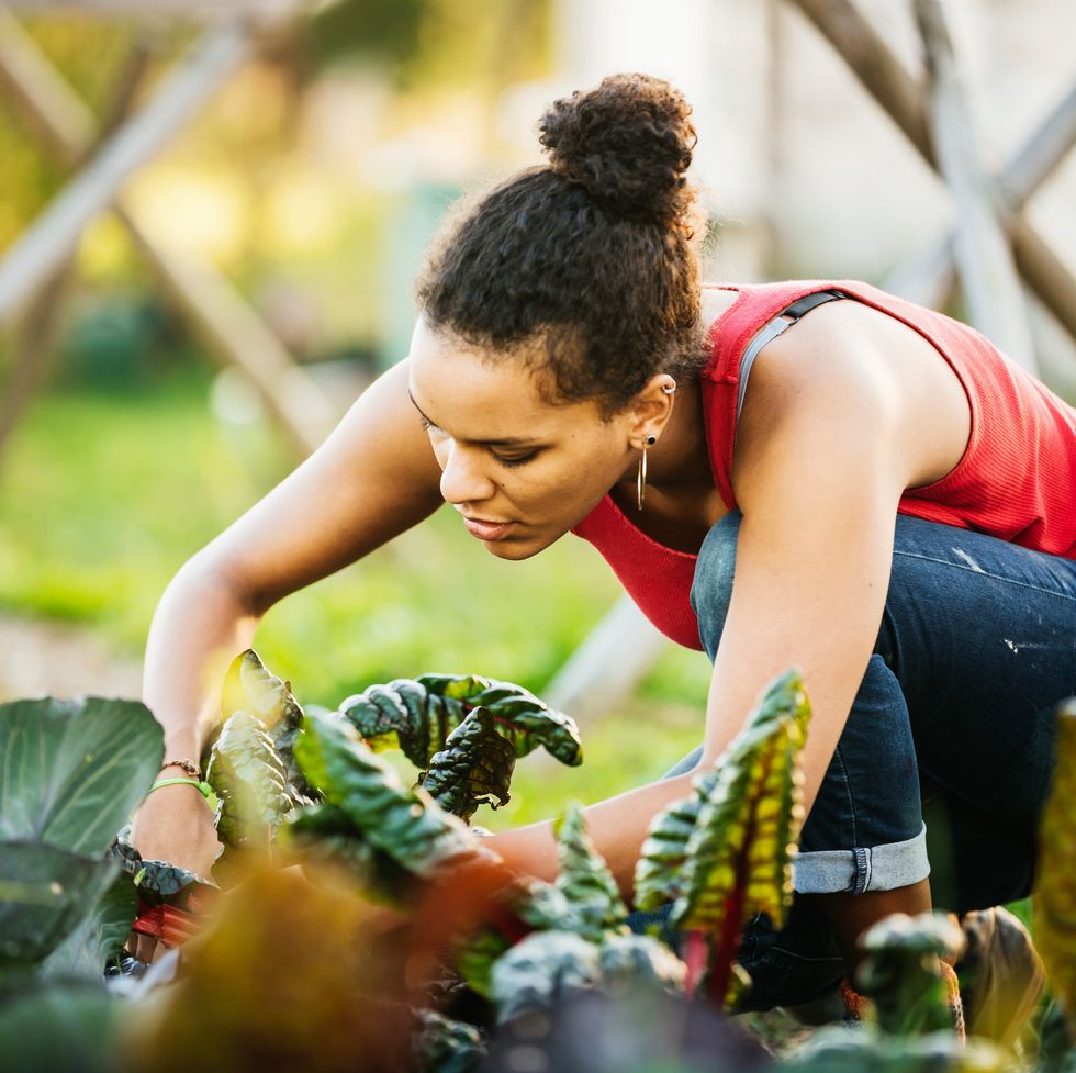 activities to boost dopamine nature