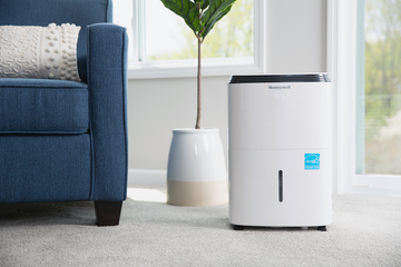 dehumidifier buying guide