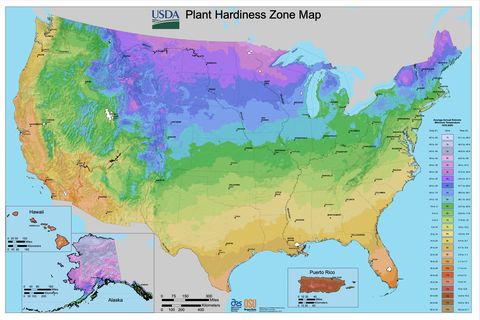 plant hardiness zones map