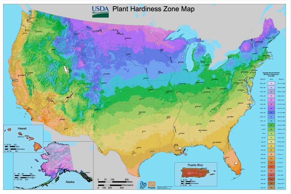 What Is Your Planting Zone? — USDA Plant Hardiness Zone Map