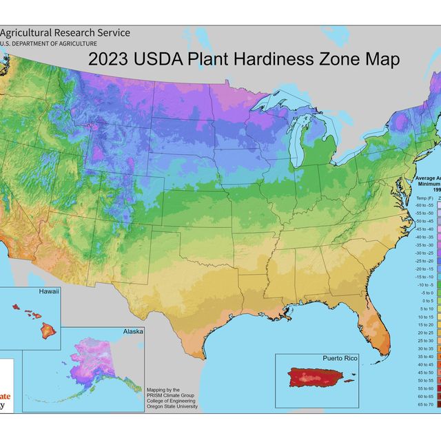 USDA Updates Hardiness Zones Map to Account for Warming