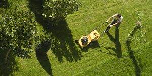 using lawn mower
